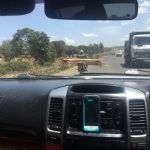 Kenya (45)